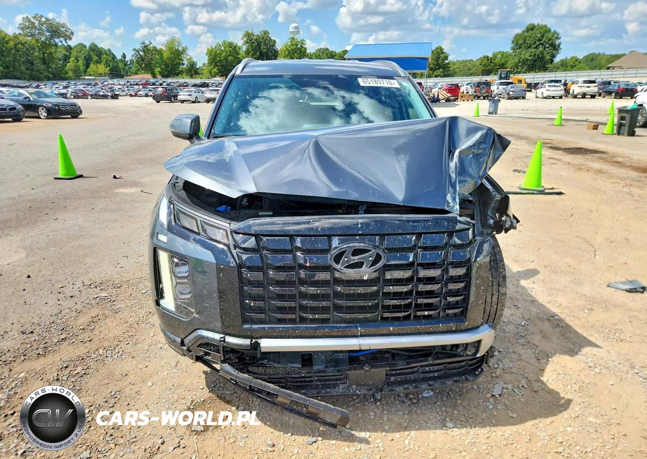 2025 Hyundai Palisade Sel VIN:KM8R24GE4SU937628 - 5