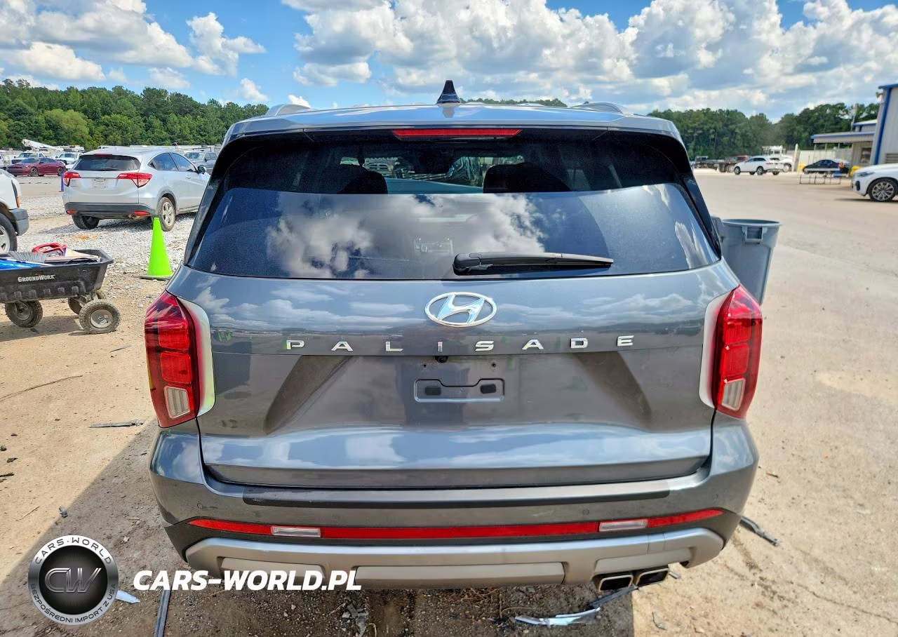 2025 Hyundai Palisade Sel VIN:KM8R24GE4SU937628 - 6