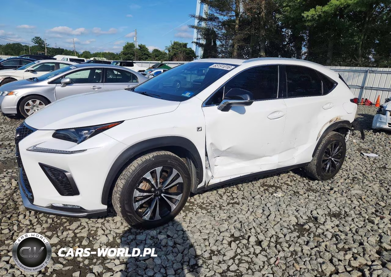 2021 Lexus Nx 300 F Sport VIN:JTJSARDZ8M5019615 - 1