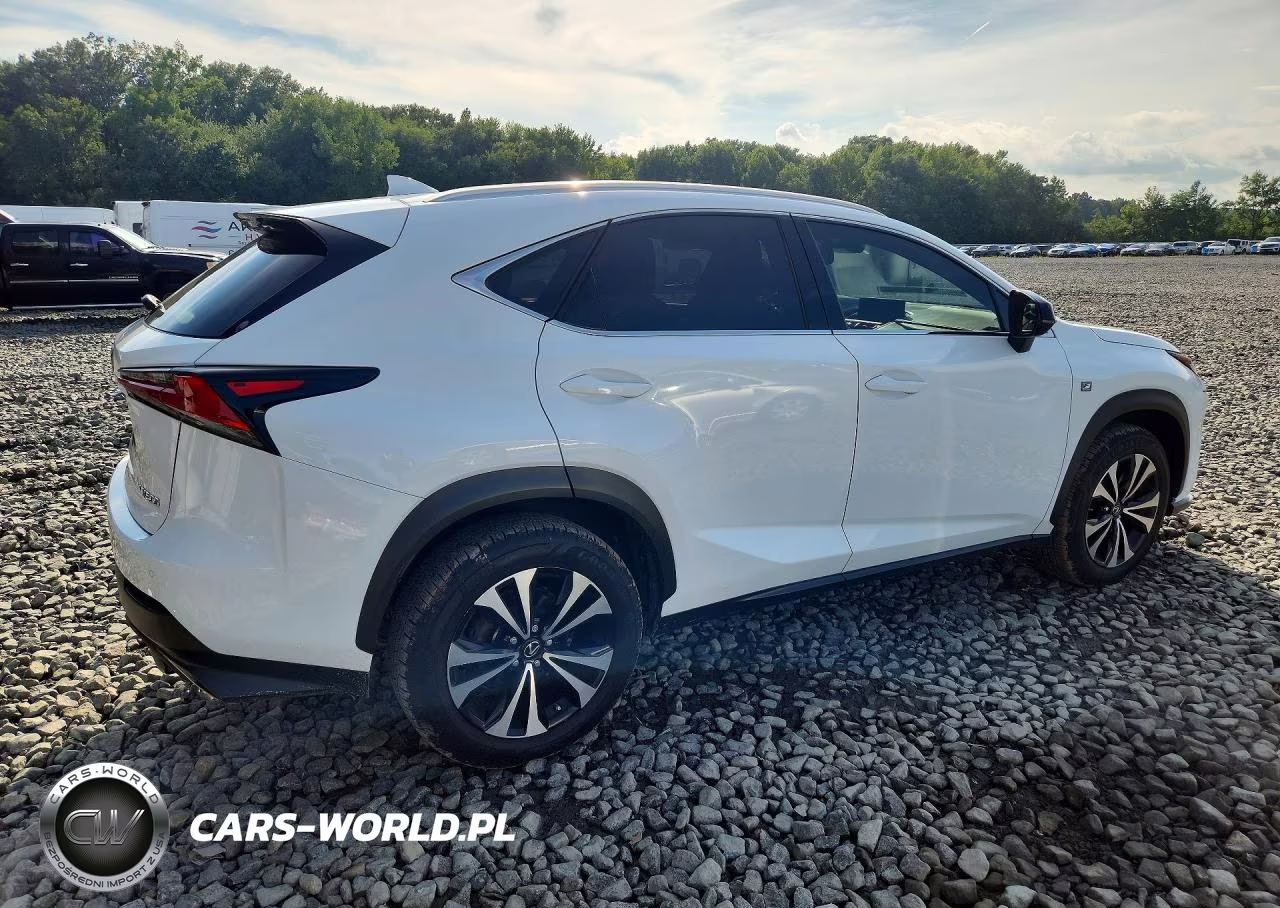 2021 Lexus Nx 300 F Sport VIN:JTJSARDZ8M5019615 - 3