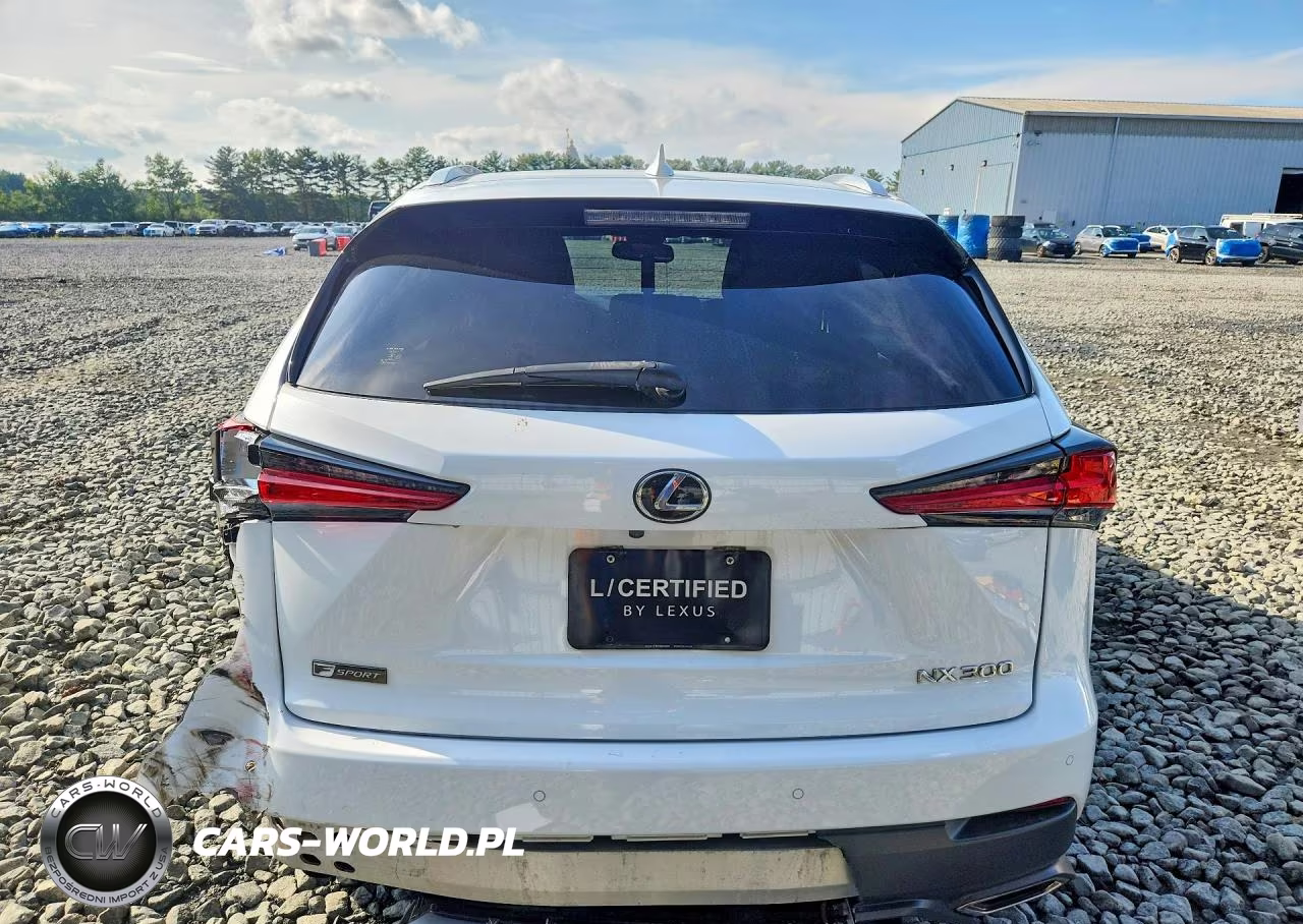 2021 Lexus Nx 300 F Sport VIN:JTJSARDZ8M5019615 - 6