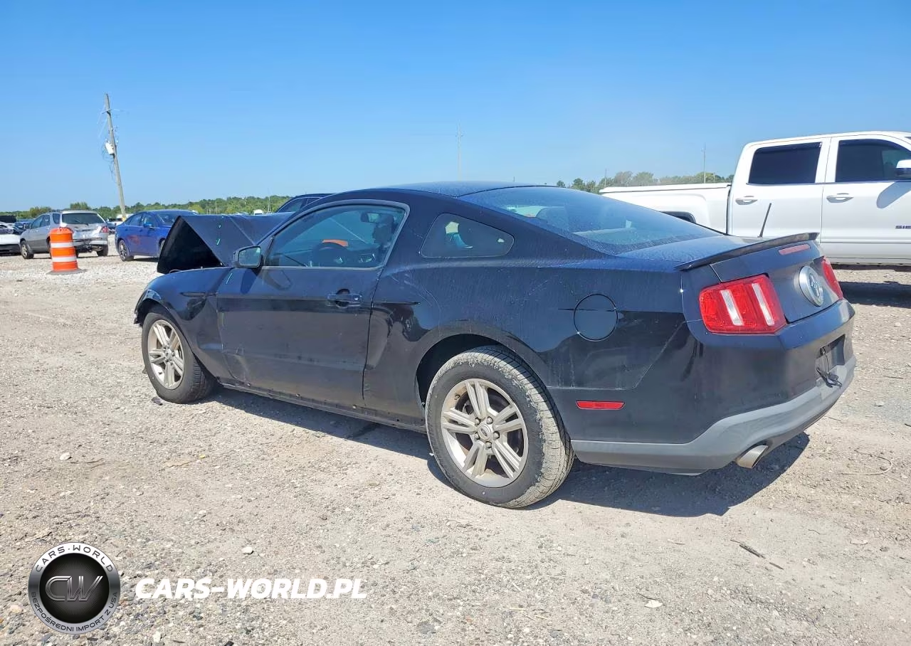 2011 Ford Mustang VIN:1ZVBP8AM2B5167578 - 2