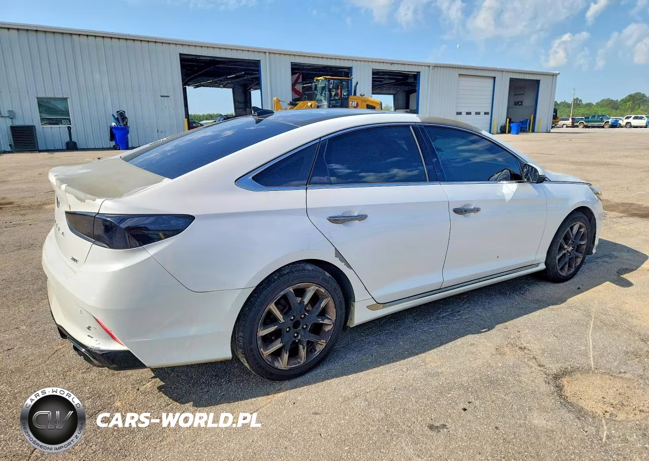 2019 Hyundai Sonata Limited Turbo VIN:5NPE34AB0KH745602 - 3