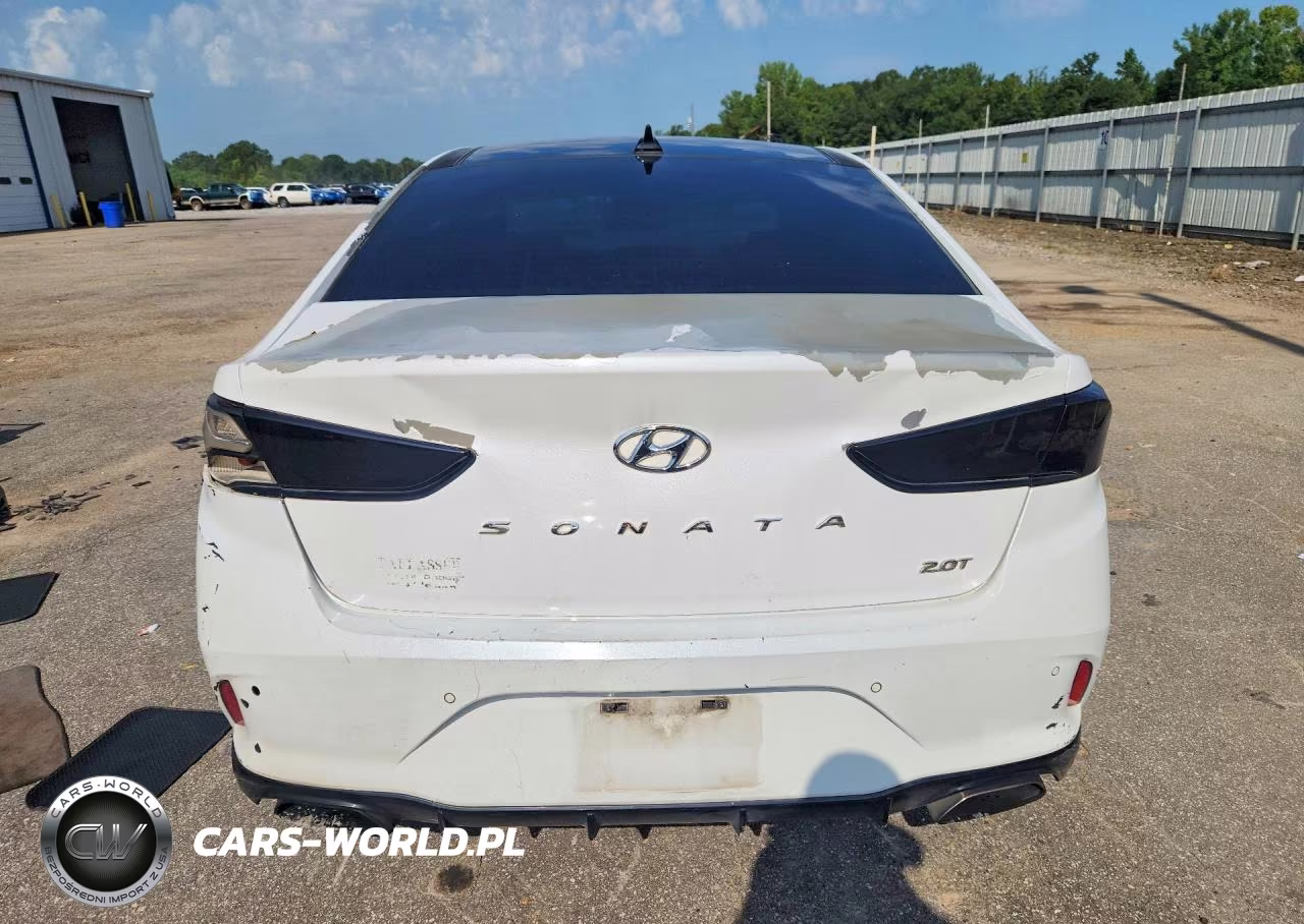 2019 Hyundai Sonata Limited Turbo VIN:5NPE34AB0KH745602 - 6