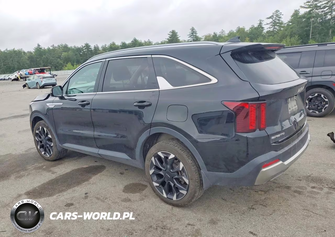 2025 Kia Sorento Ex VIN:5XYRHDJF4SG403390 - 2