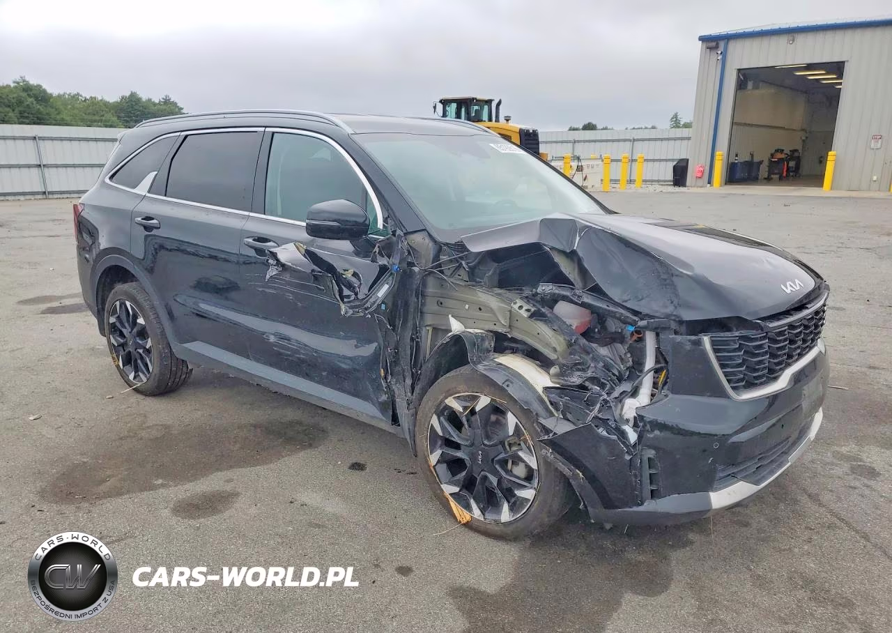 2025 Kia Sorento Ex VIN:5XYRHDJF4SG403390 - 4