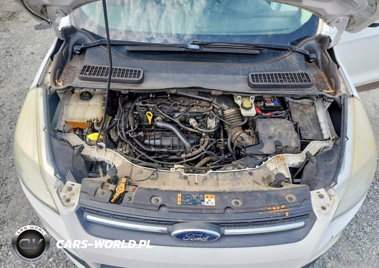 2014 Ford Escape Se VIN:1FMCU9GX7EUC00409 - 12