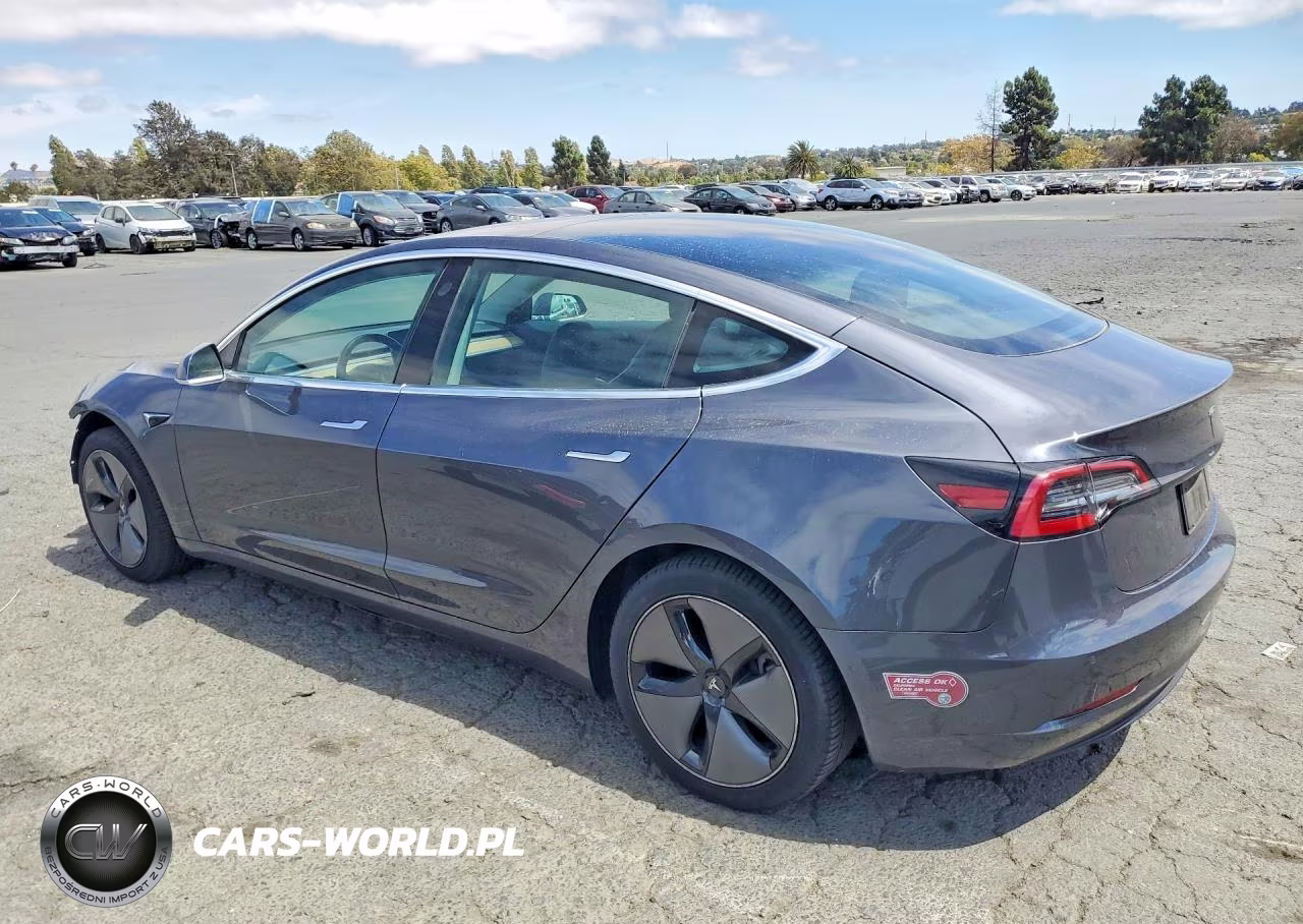 2019 Tesla Model 3 VIN:5YJ3E1EA0KF325502 - 2