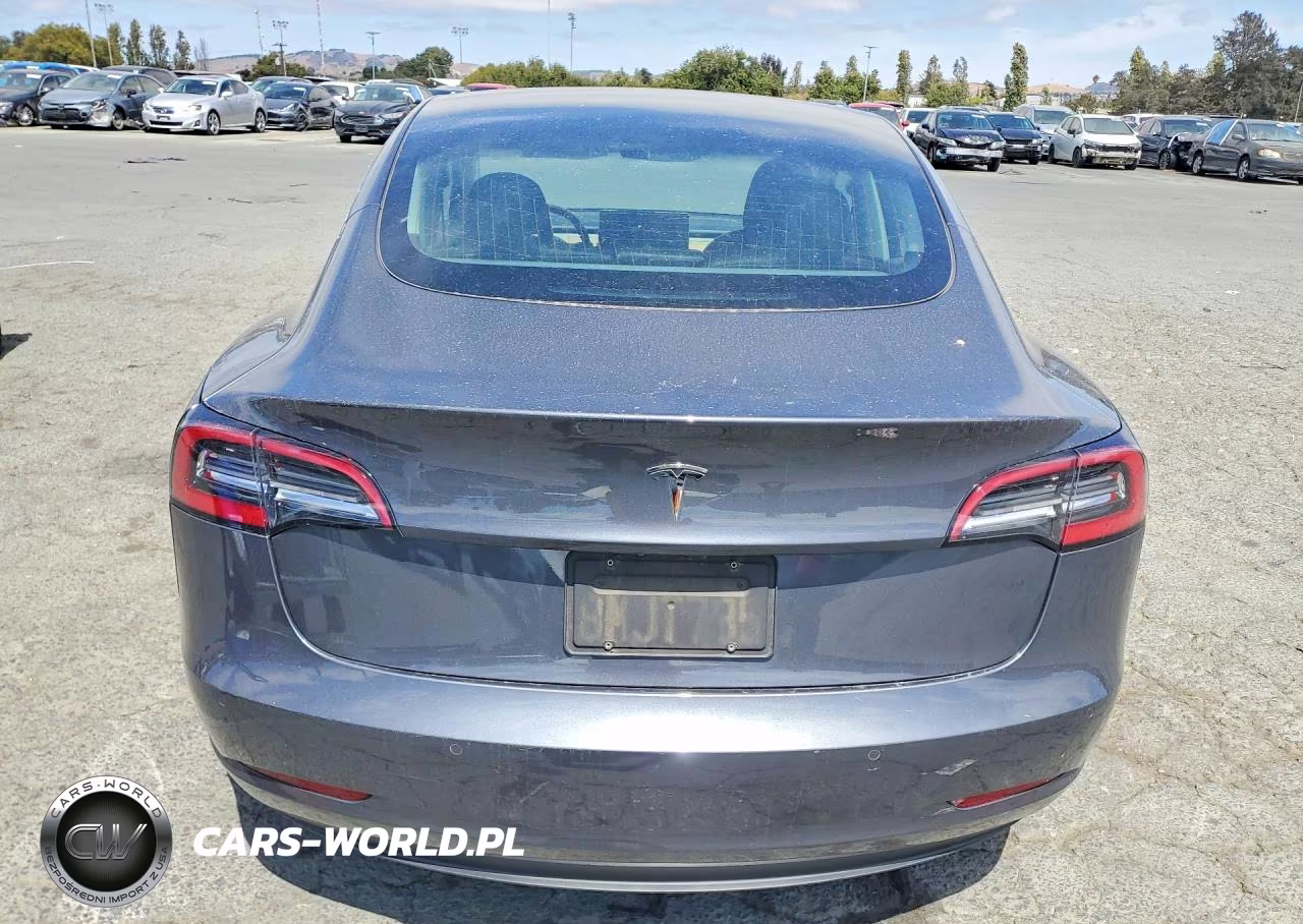 2019 Tesla Model 3 VIN:5YJ3E1EA0KF325502 - 6