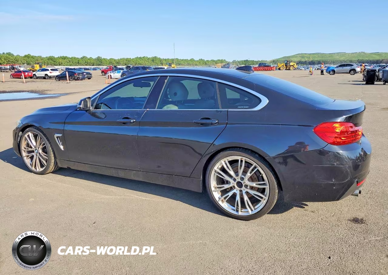 2016 BMW 428 I Gran Coupe Sulev VIN:WBA4A9C50GG506484 - 2