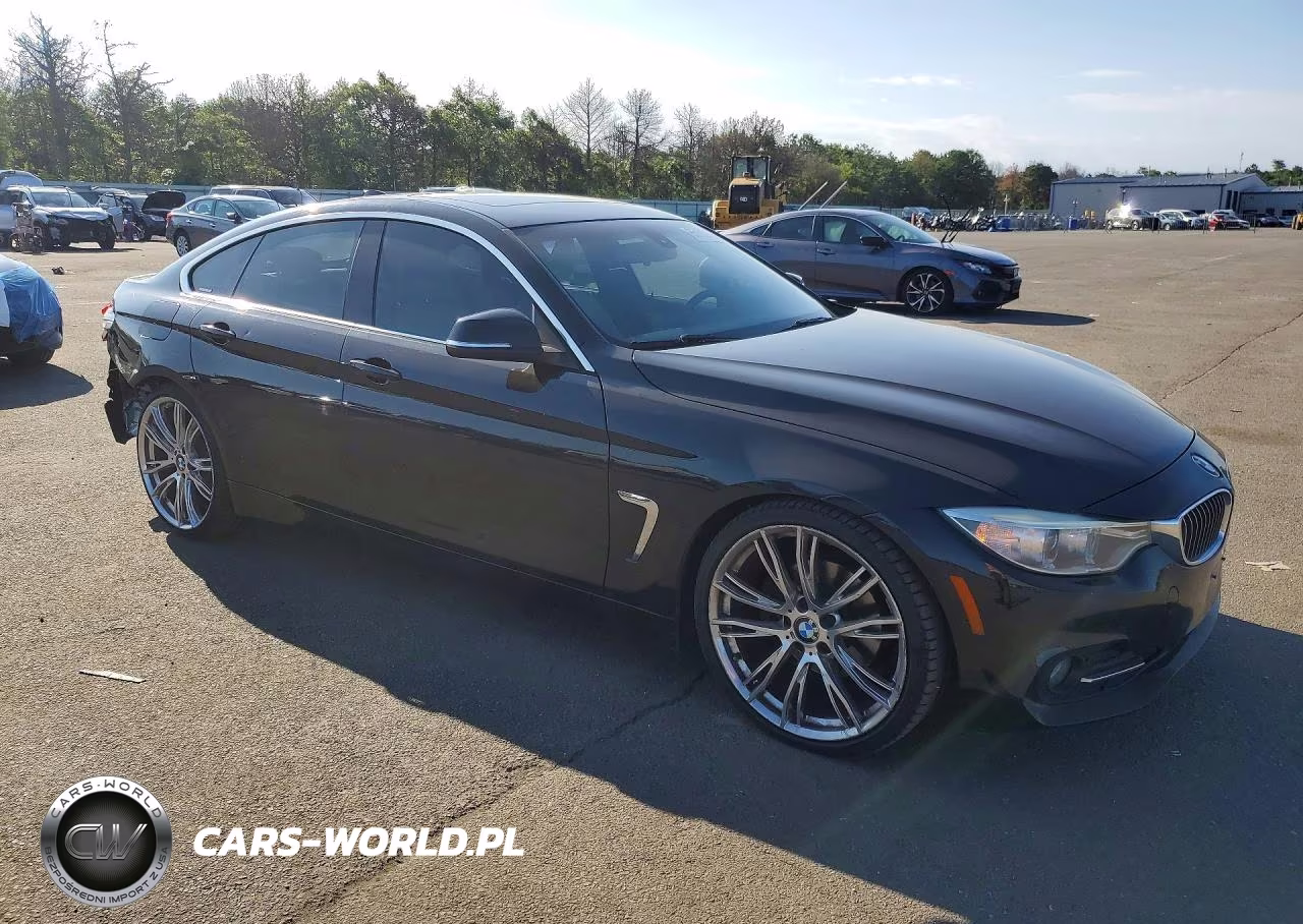 2016 BMW 428 I Gran Coupe Sulev VIN:WBA4A9C50GG506484 - 4