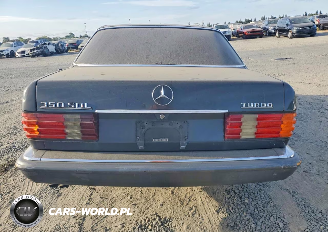 1990 Mercedes-Benz 350 Sdl VIN:WDBCB35D5LA559528 - 6
