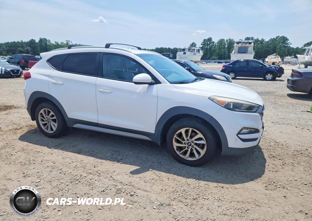 2017 Hyundai Tucson Se VIN:KM8J3CA47HU262189 - 4
