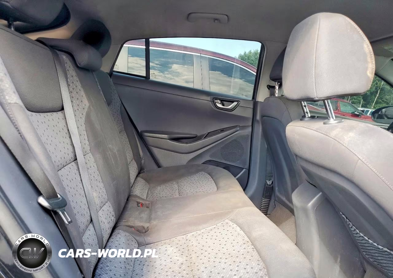 2019 Hyundai Ioniq Blue VIN:KMHC65LC7KU163380 - 10