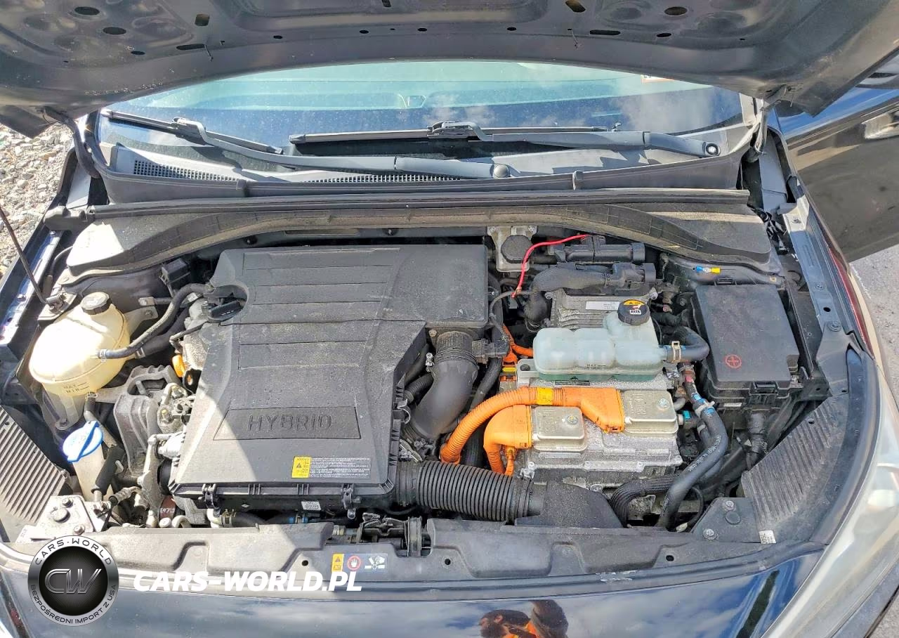 2019 Hyundai Ioniq Blue VIN:KMHC65LC7KU163380 - 11