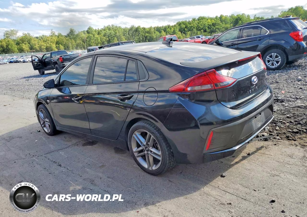 2019 Hyundai Ioniq Blue VIN:KMHC65LC7KU163380 - 2