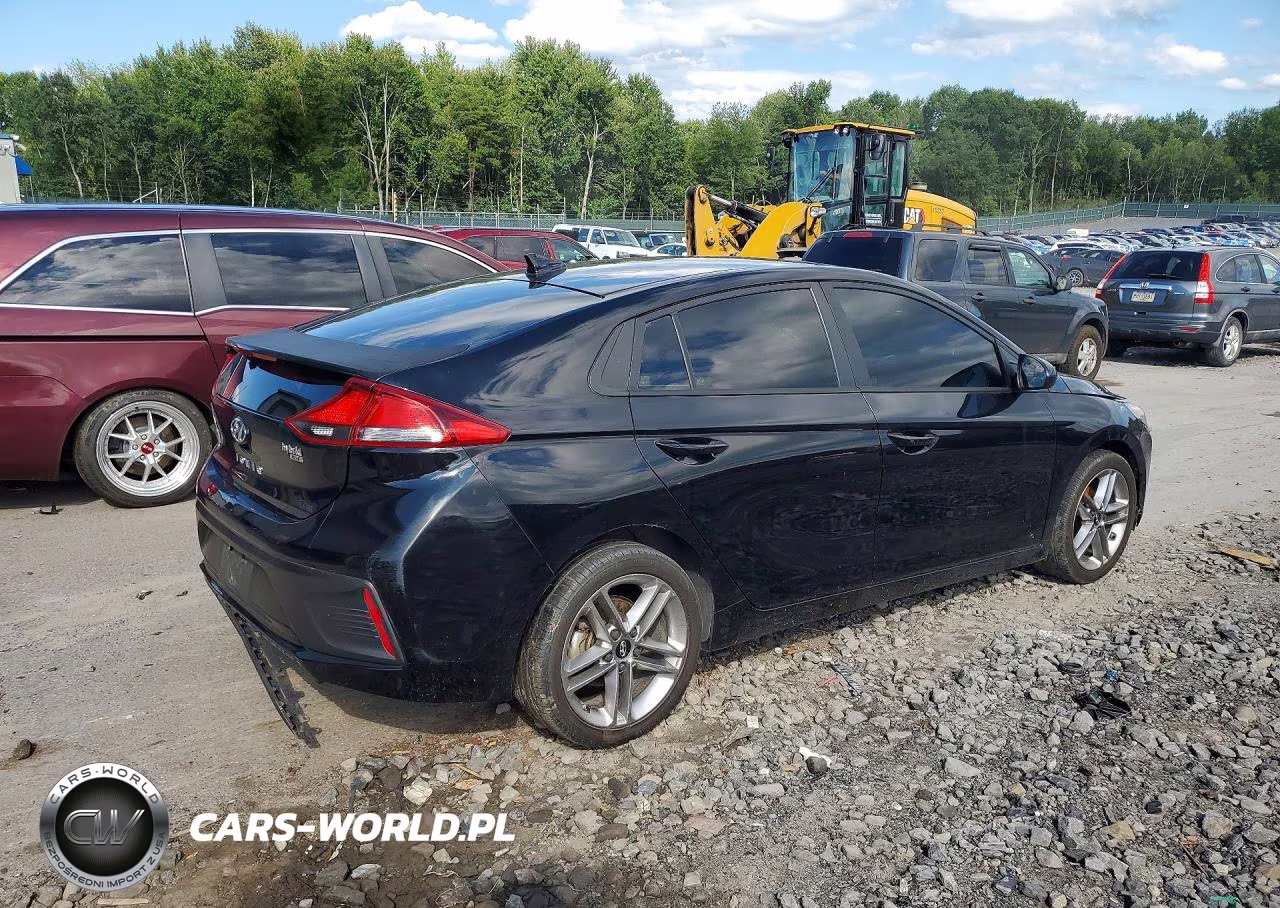 2019 Hyundai Ioniq Blue VIN:KMHC65LC7KU163380 - 3