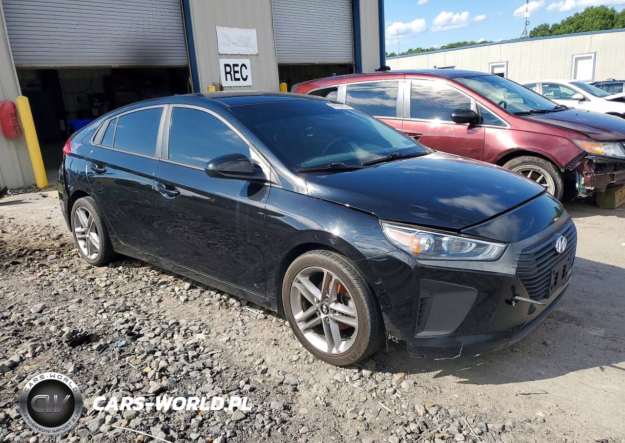 2019 Hyundai Ioniq Blue VIN:KMHC65LC7KU163380 - 4
