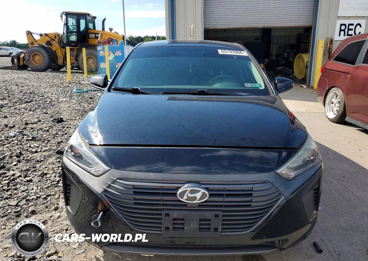 2019 Hyundai Ioniq Blue VIN:KMHC65LC7KU163380 - 5