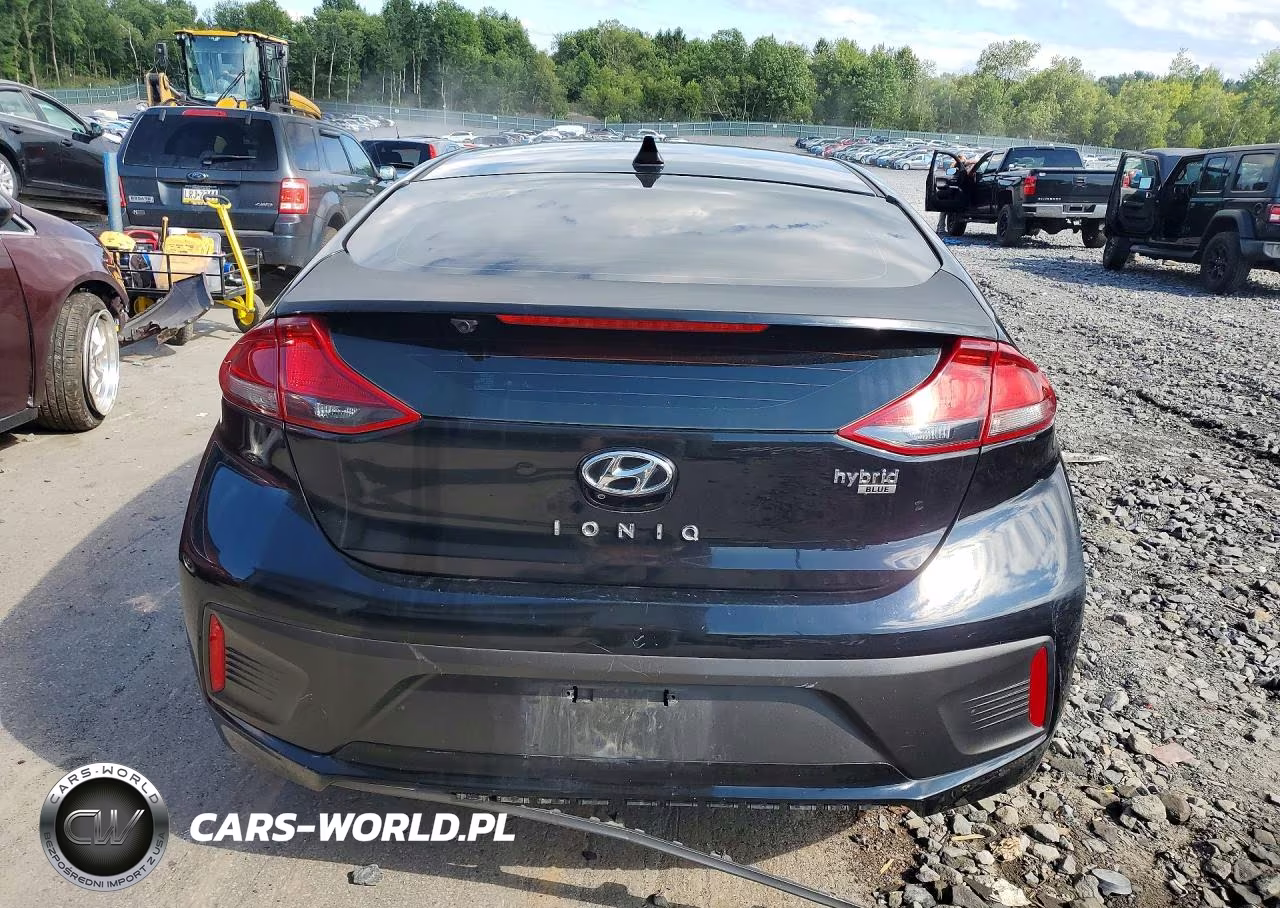 2019 Hyundai Ioniq Blue VIN:KMHC65LC7KU163380 - 6