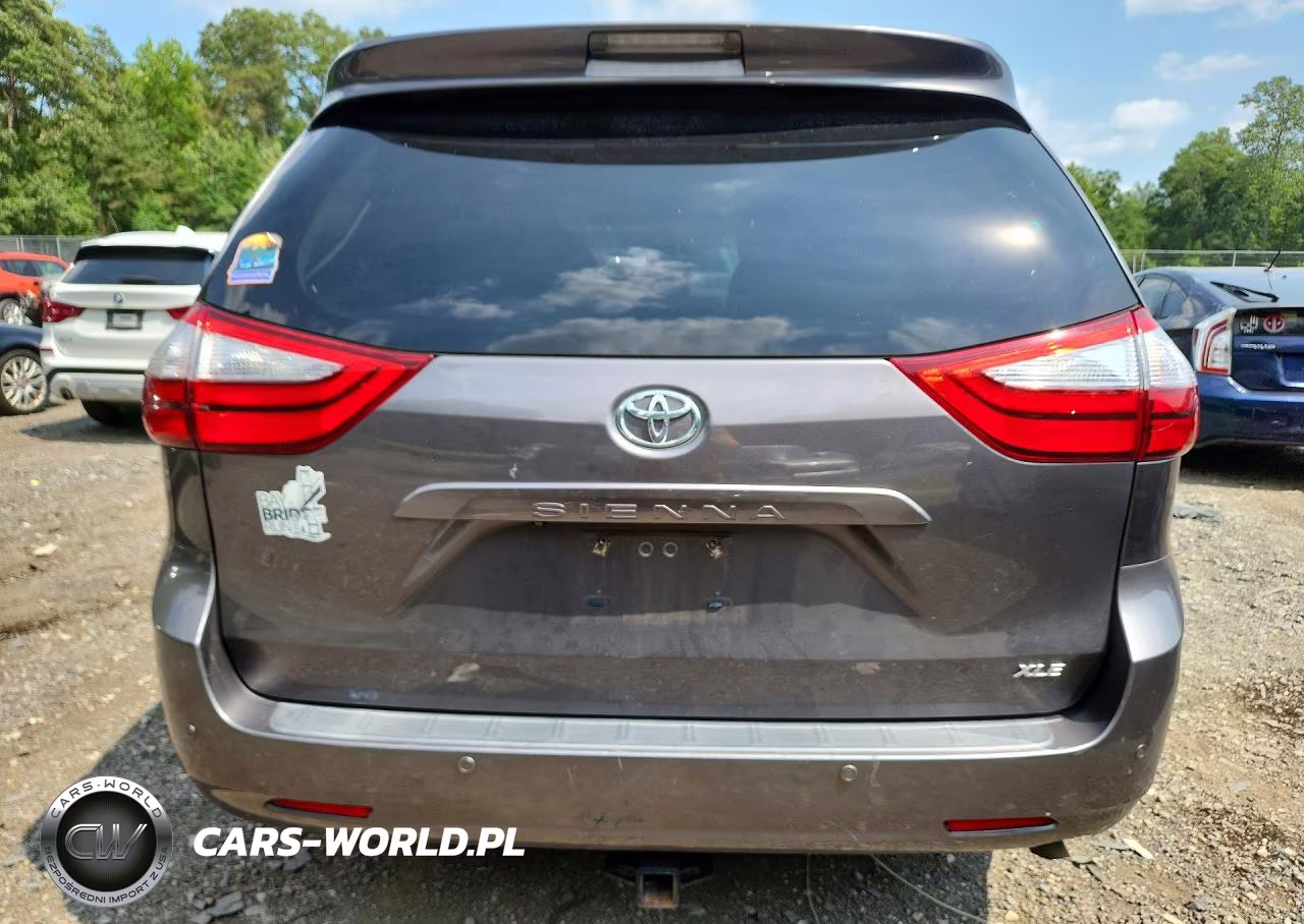 2016 Toyota Sienna Xle Premium 8-Passenger VIN:5TDYK3DC5GS755462 - 6
