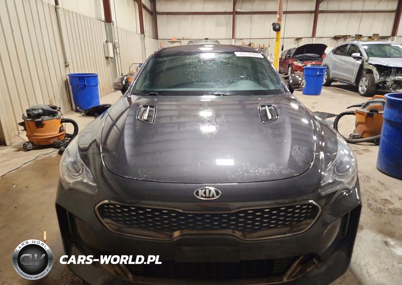 2021 Kia Stinger Gt-Line VIN:KNAE15LA9M6089782 - 5