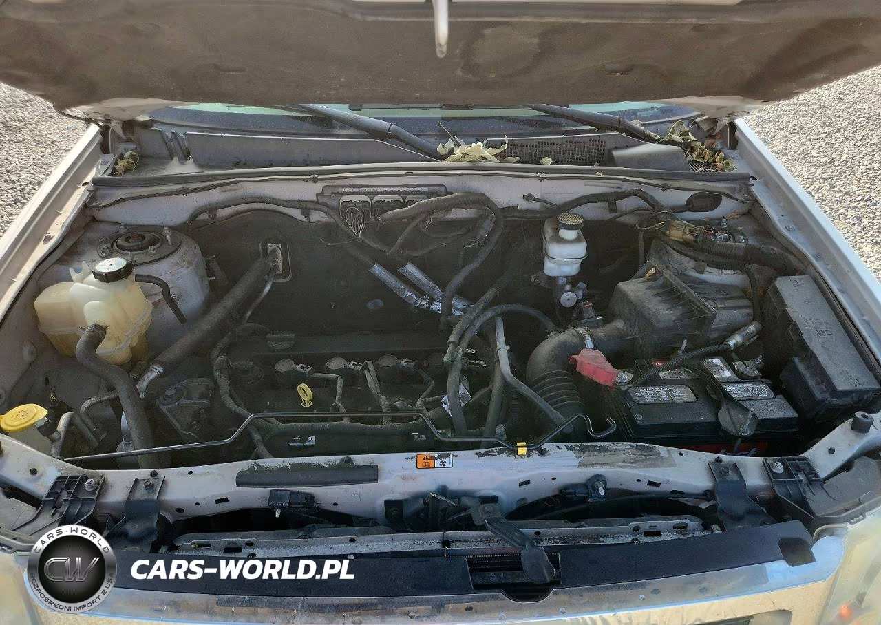 2010 Ford Escape Xlt VIN:1FMCU0D70AKA86646 - 12