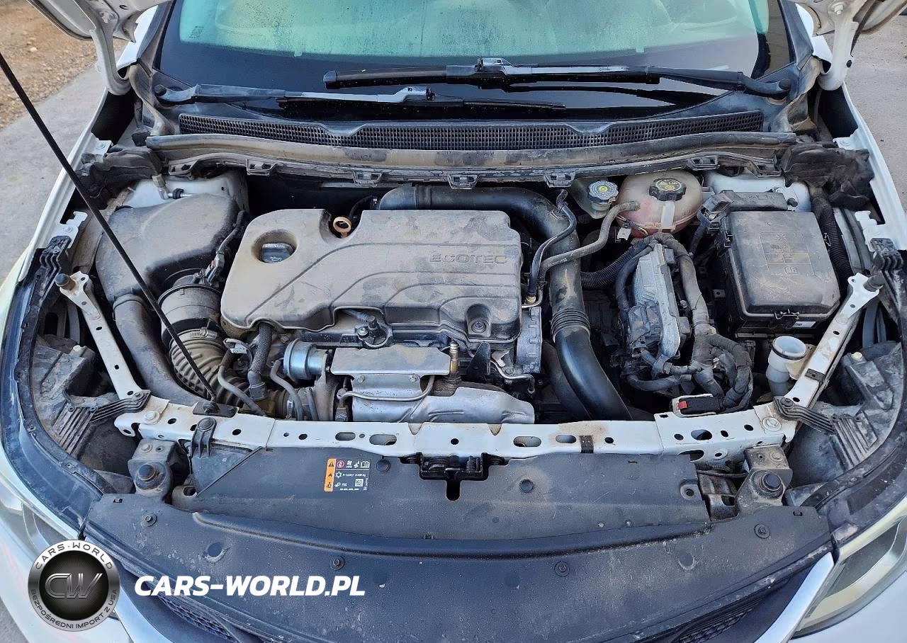 2019 Chevrolet Cruze VIN:1G1BJ5SM5K7104098 - 11