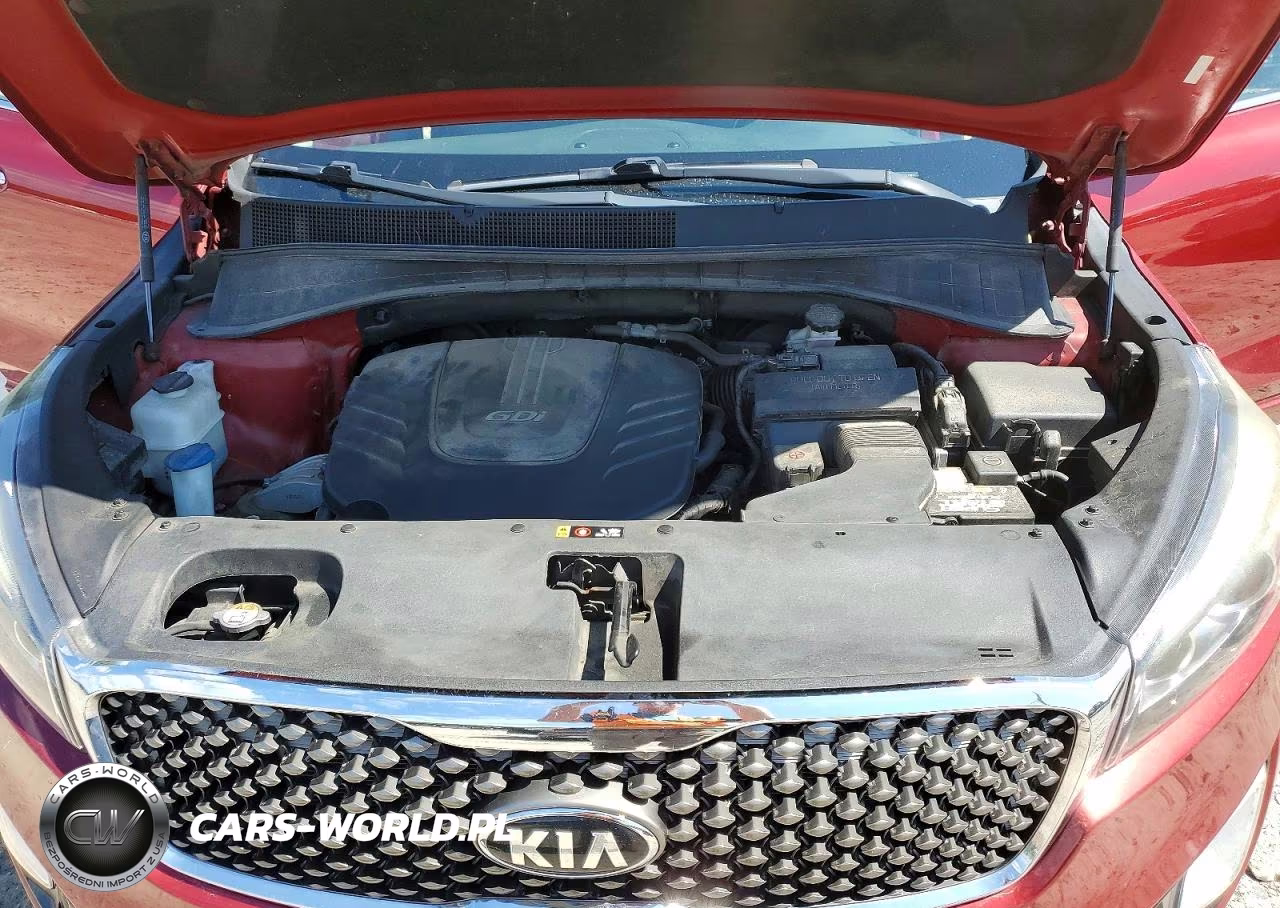 2018 Kia Sorento VIN:5XYPKDA52JG384563 - 12