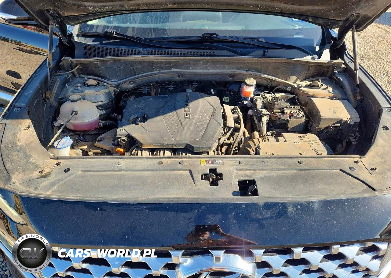 2021 Hyundai Santa Fe Sel VIN:5NMS6DAJ5MH359095 - 12