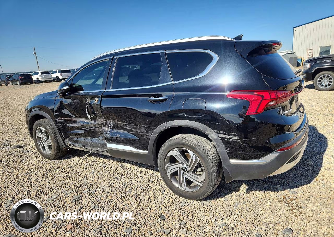 2021 Hyundai Santa Fe Sel VIN:5NMS6DAJ5MH359095 - 2