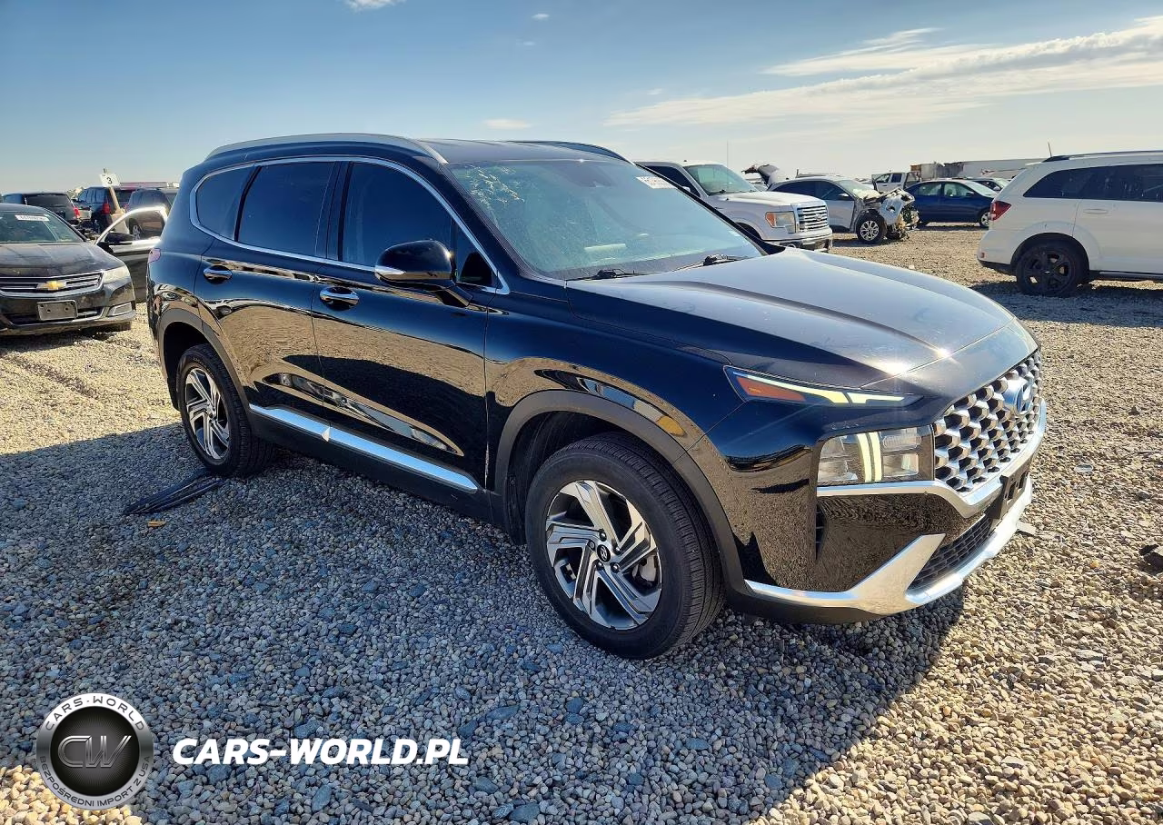 2021 Hyundai Santa Fe Sel VIN:5NMS6DAJ5MH359095 - 4
