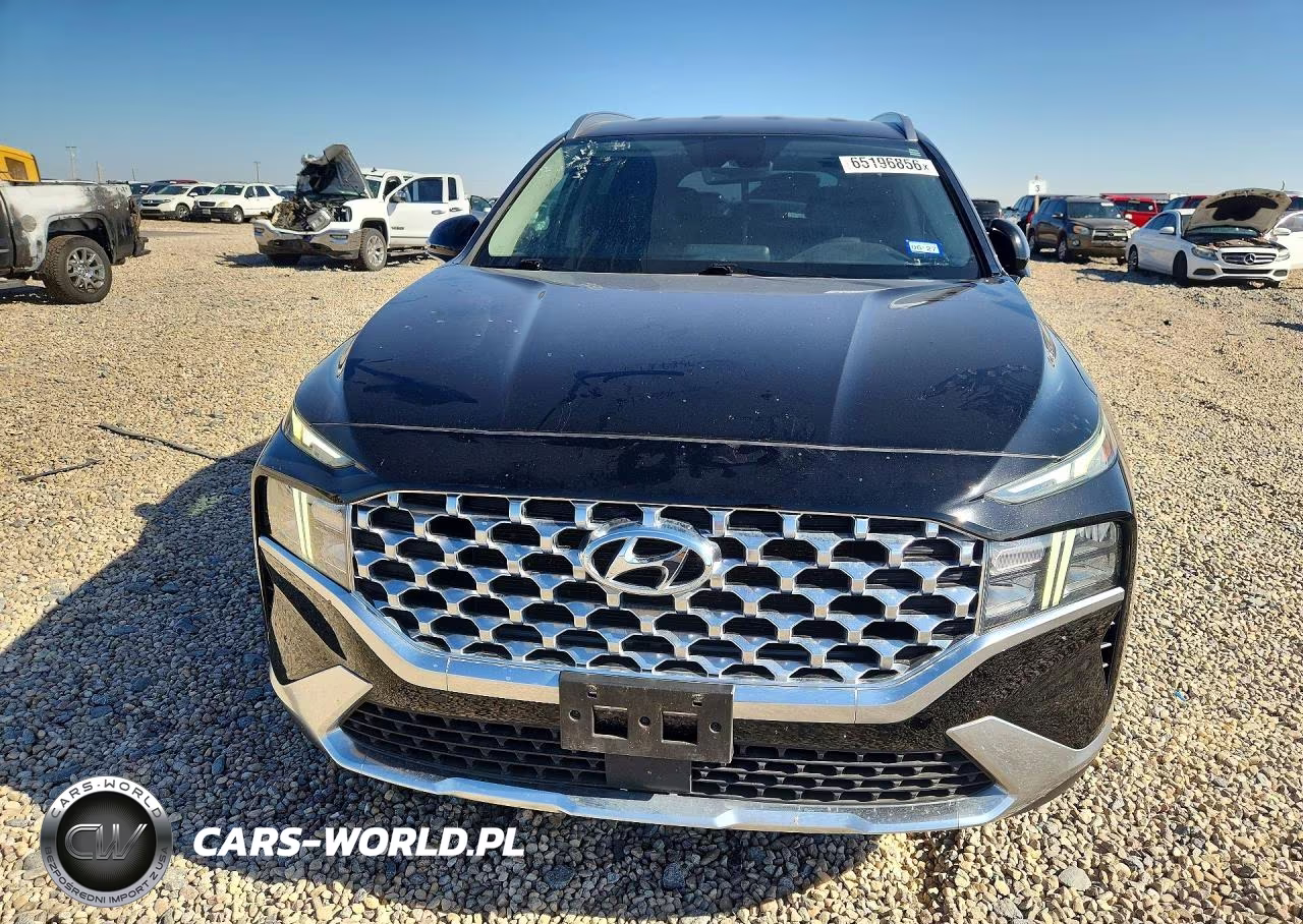 2021 Hyundai Santa Fe Sel VIN:5NMS6DAJ5MH359095 - 5