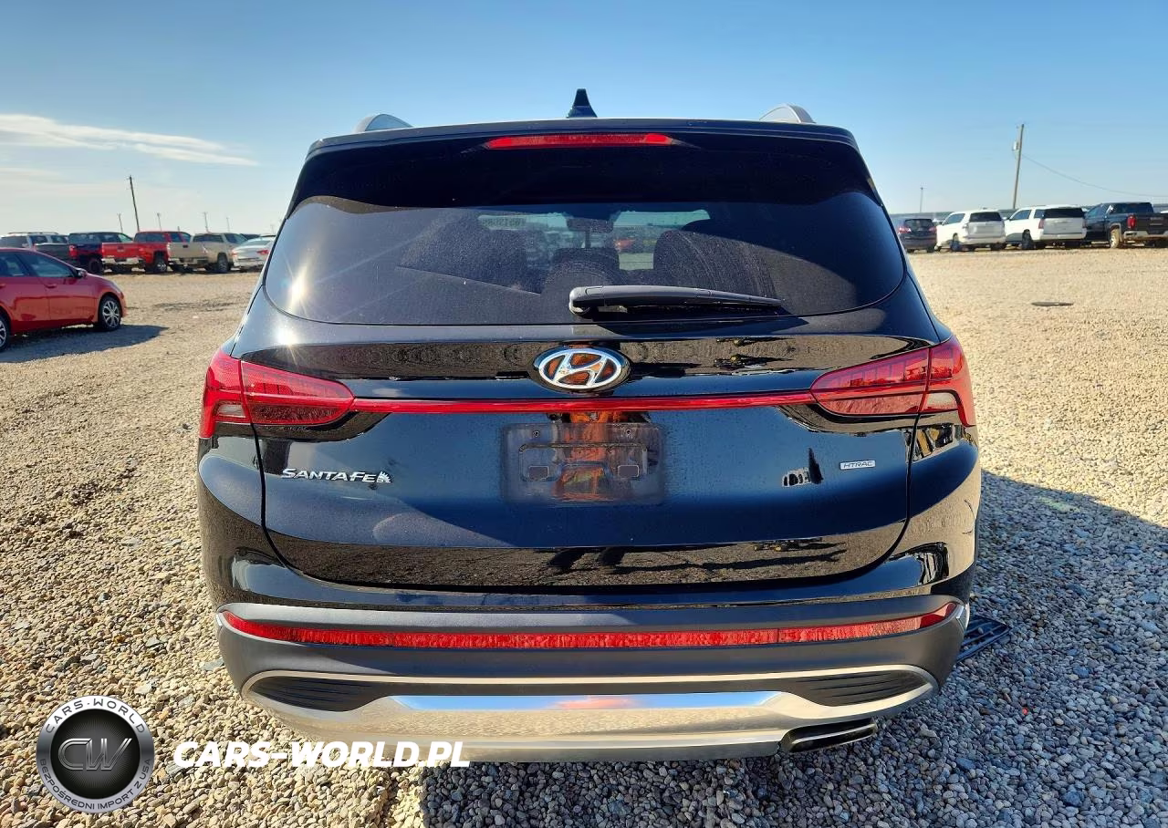 2021 Hyundai Santa Fe Sel VIN:5NMS6DAJ5MH359095 - 6