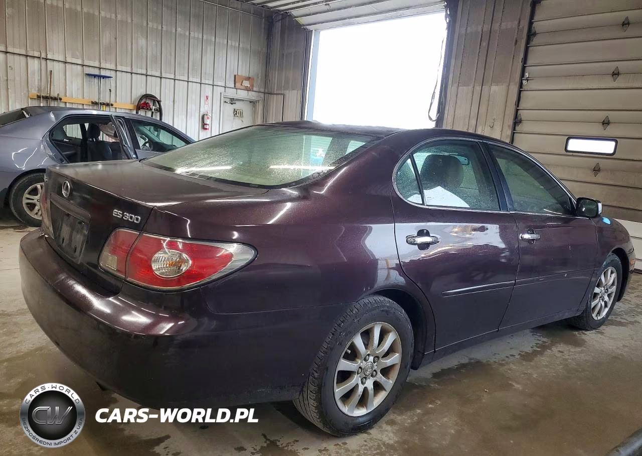 2002 Lexus Es 300 VIN:JTHBF30G920055487 - 3