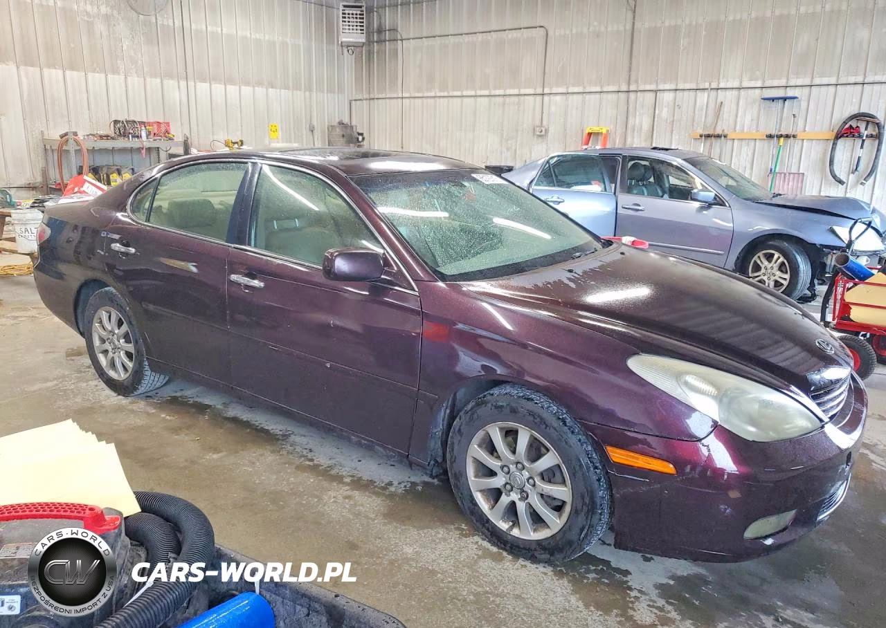 2002 Lexus Es 300 VIN:JTHBF30G920055487 - 4