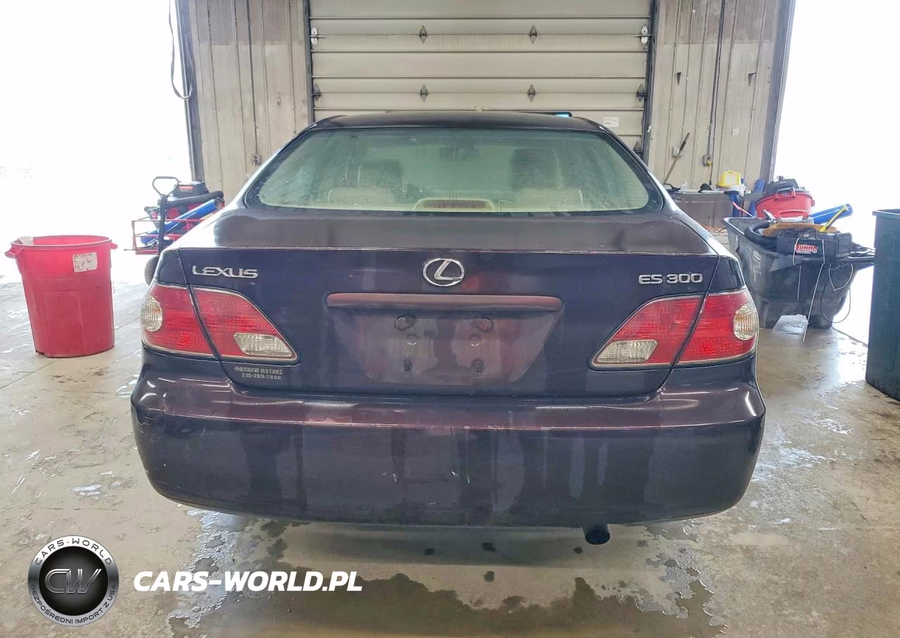 2002 Lexus Es 300 VIN:JTHBF30G920055487 - 6