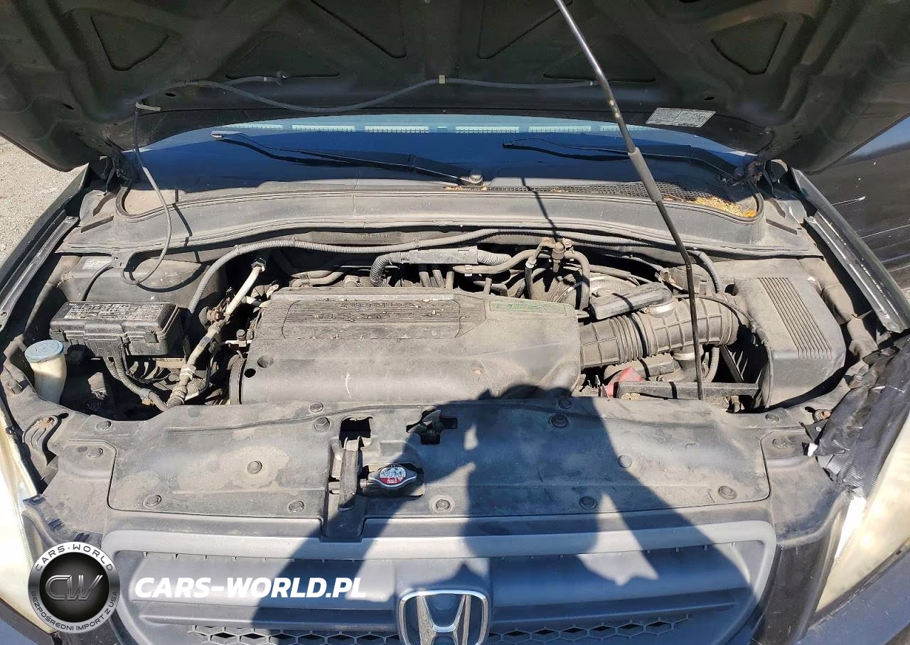 2004 Honda Pilot Ex VIN:2HKYF18424H584361 - 12