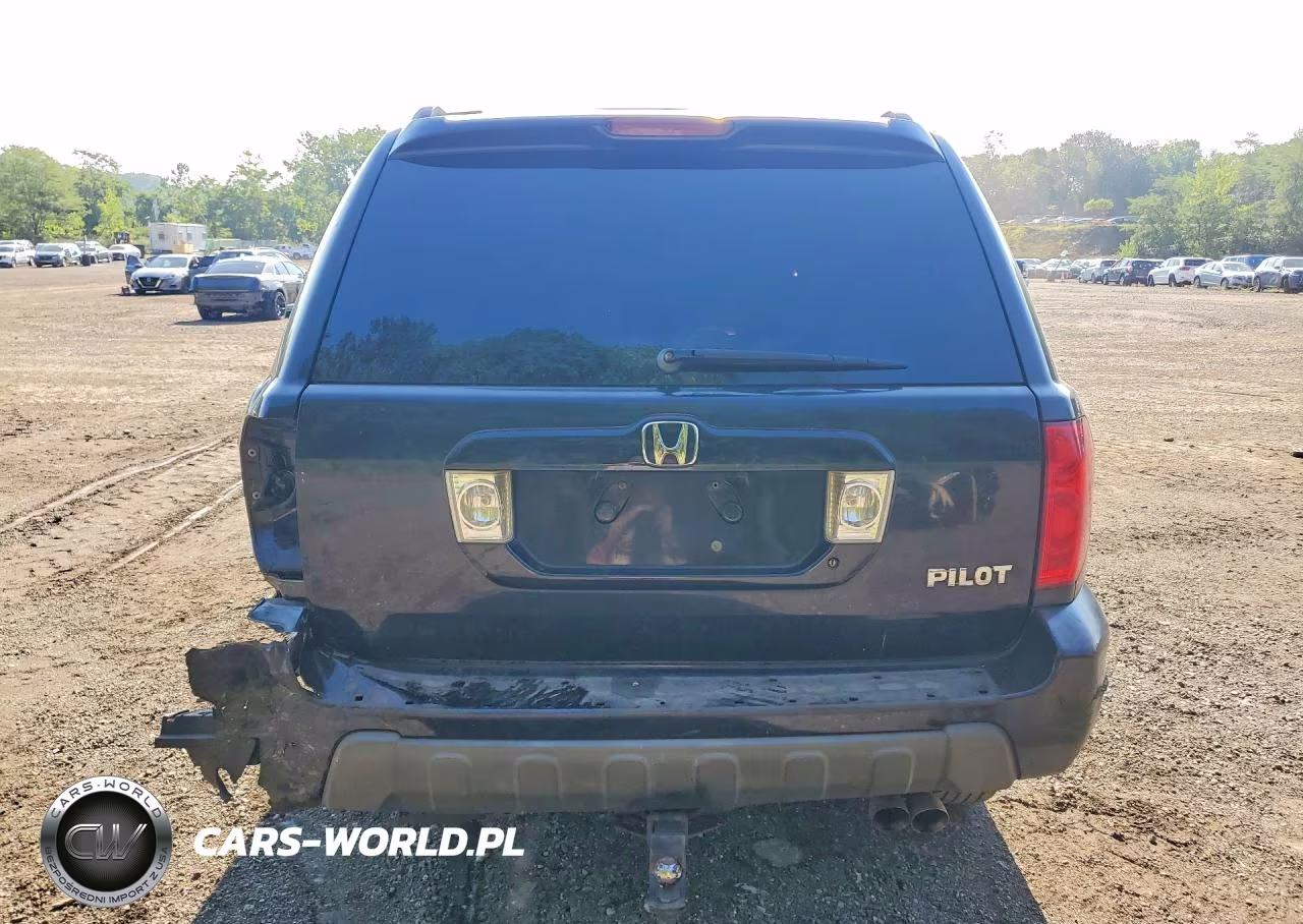 2004 Honda Pilot Ex VIN:2HKYF18424H584361 - 6