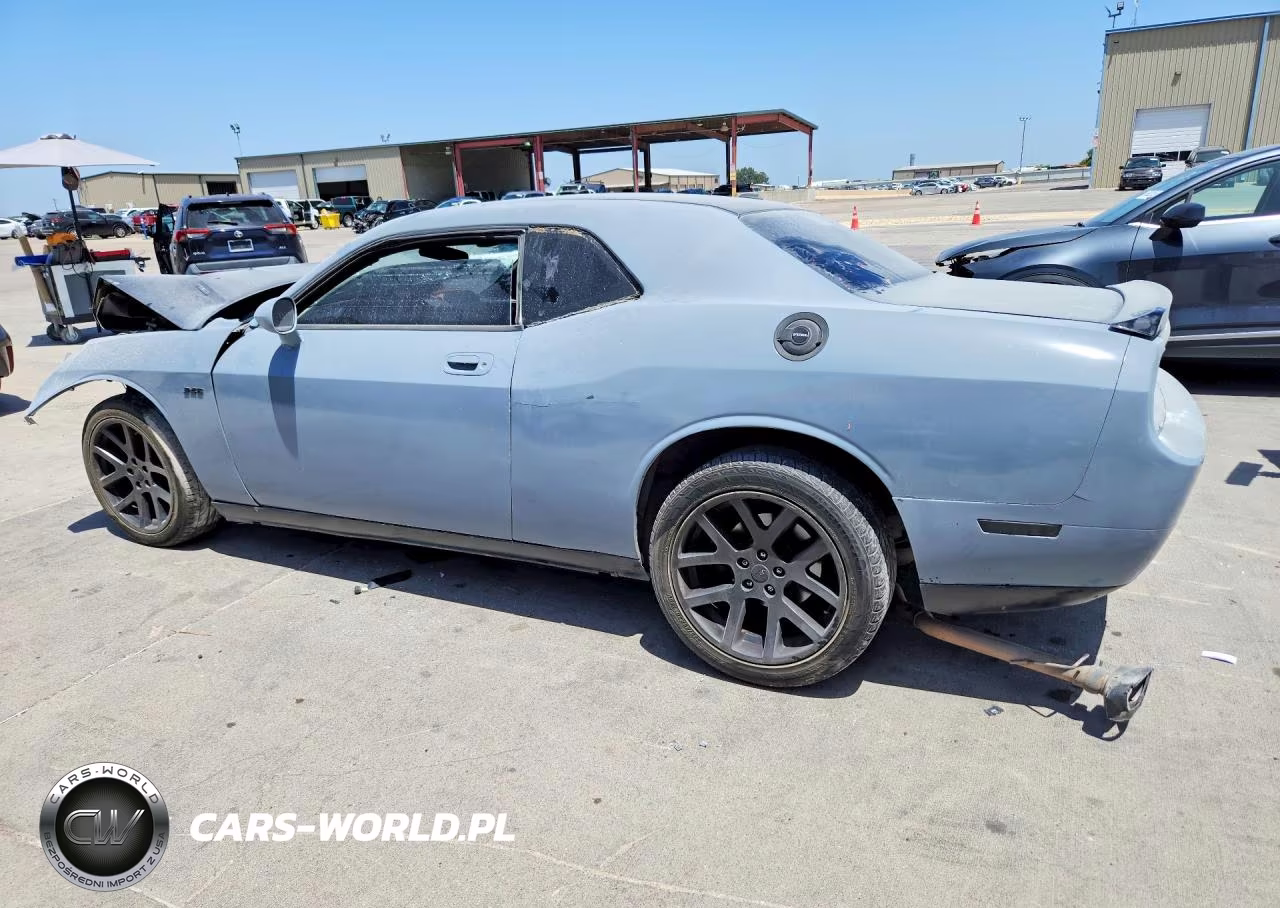 2010 Dodge Challenger R-T VIN:2B3CJ5DT8AH314019 - 2