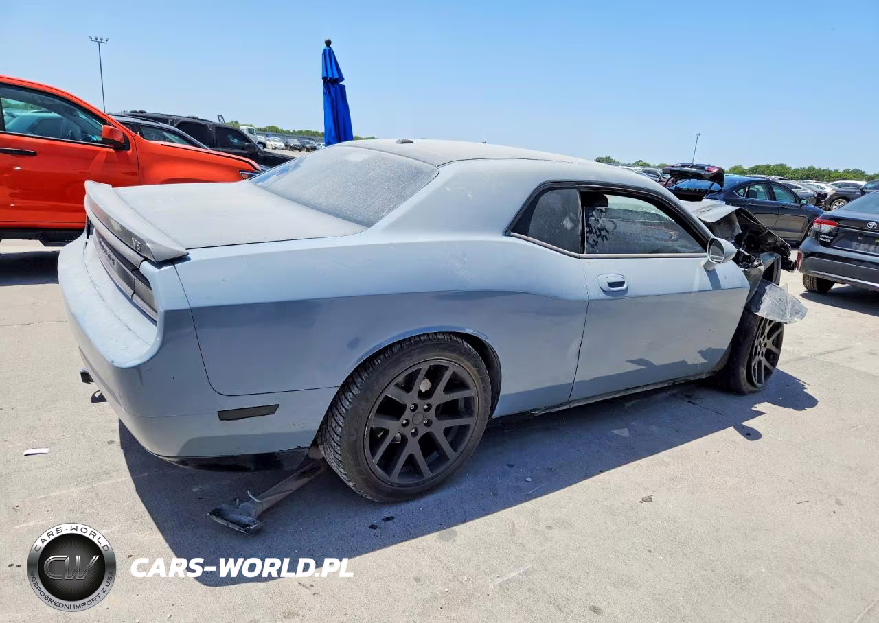 2010 Dodge Challenger R-T VIN:2B3CJ5DT8AH314019 - 3