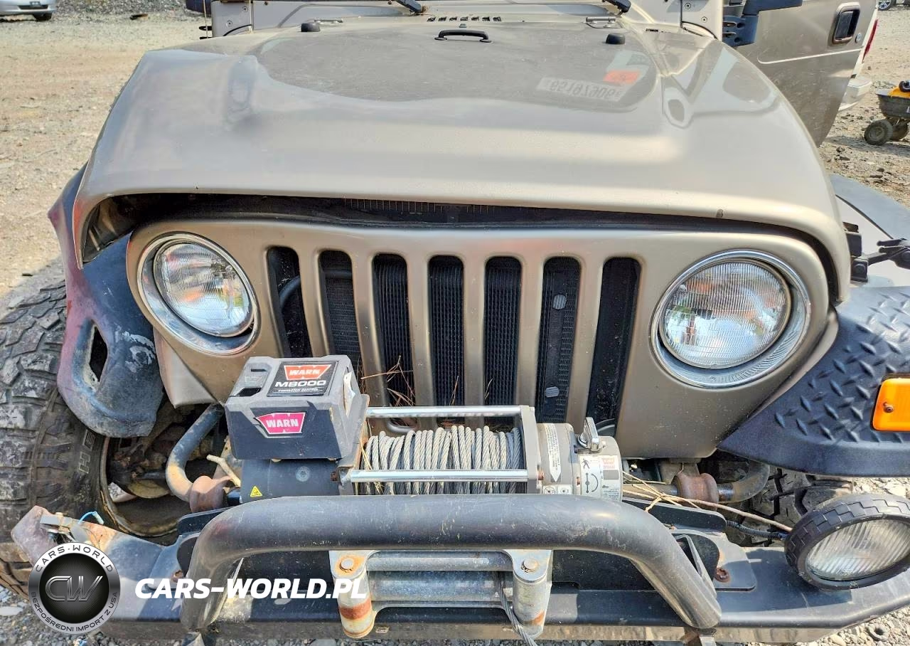 2003 Jeep Wrangler - Tj Rubicon VIN:1J4FA69S63P352035 - 11