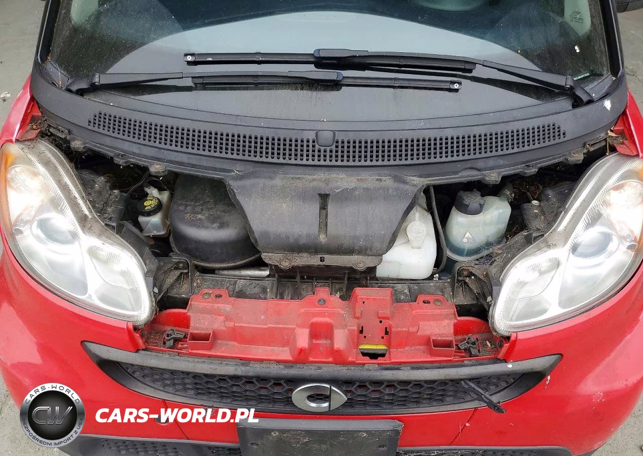 2013 Smart Fortwo Pure VIN:WMEEJ3BA4DK666980 - 11