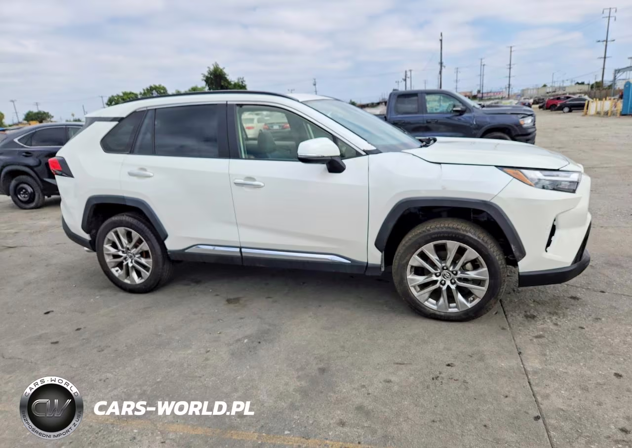 2019 Toyota Rav4 Limited VIN:JTMY1RFV8KD500247 - 4