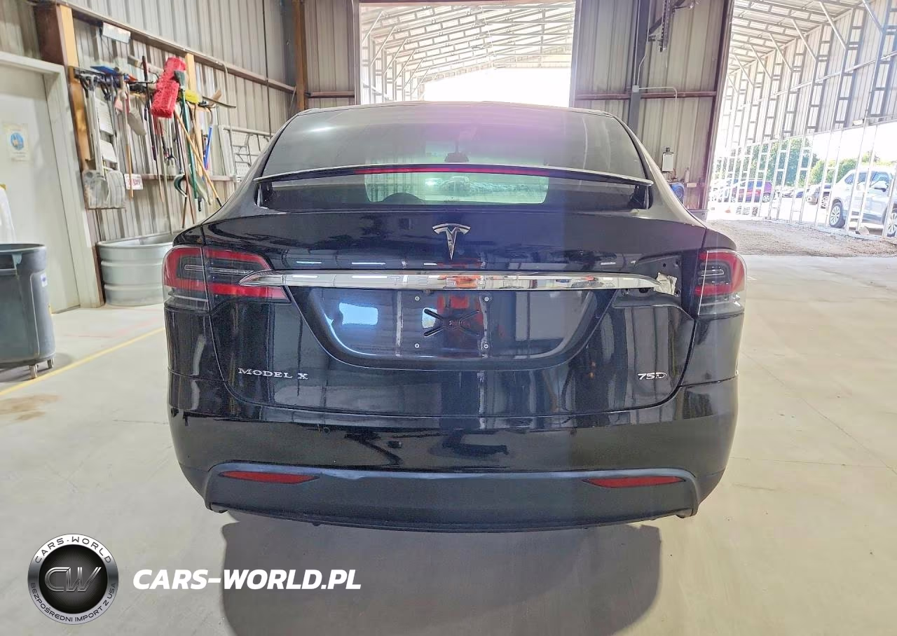2017 Tesla Model X VIN:5YJXCDE26HF038272 - 6