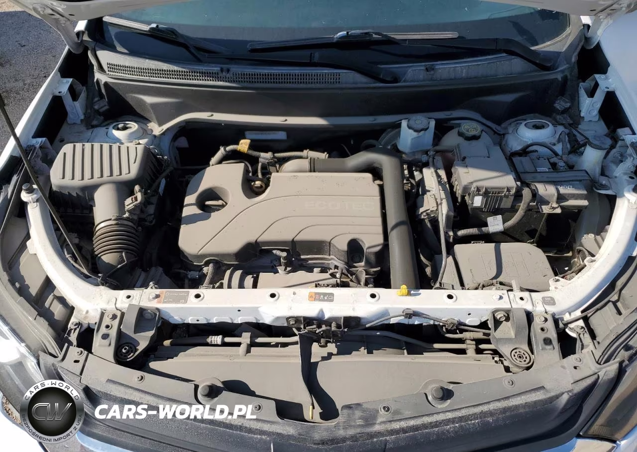 2019 Chevrolet Equinox Ls VIN:2GNAXSEV8K6290134 - 12