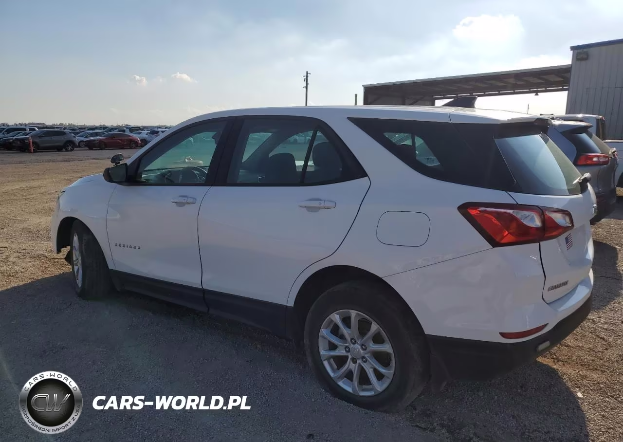 2019 Chevrolet Equinox Ls VIN:2GNAXSEV8K6290134 - 2