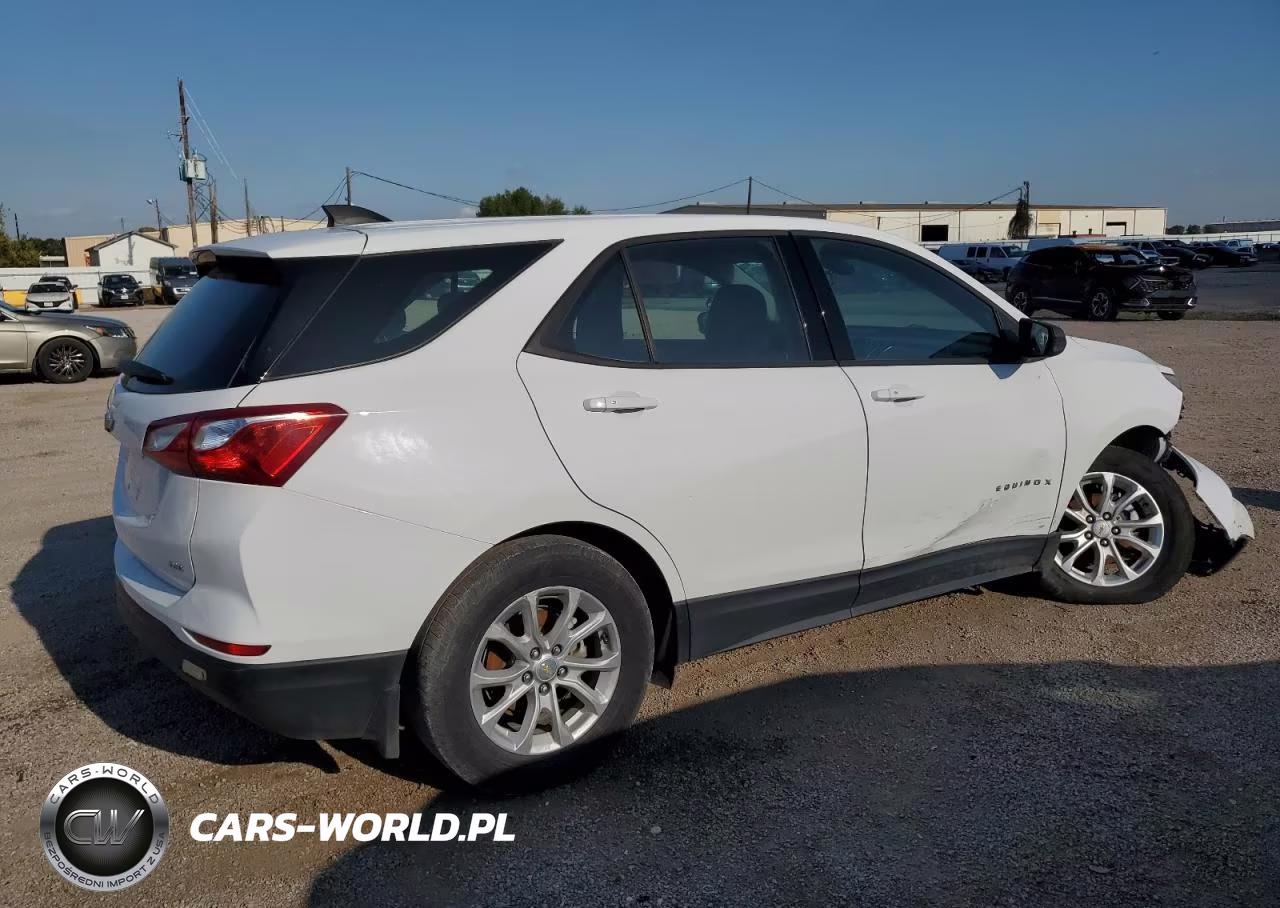 2019 Chevrolet Equinox Ls VIN:2GNAXSEV8K6290134 - 3