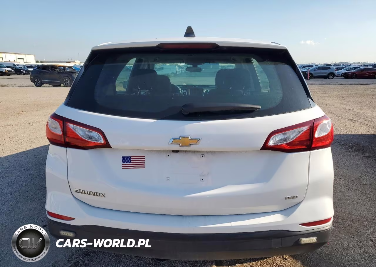 2019 Chevrolet Equinox Ls VIN:2GNAXSEV8K6290134 - 6