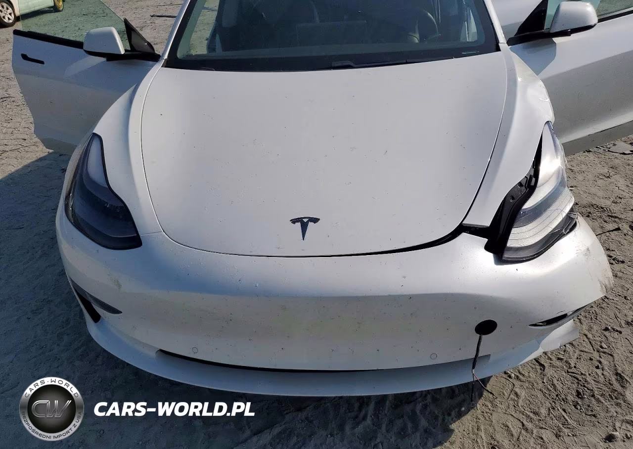 2021 Tesla Model 3 VIN:5YJ3E1EAXMF051289 - 11
